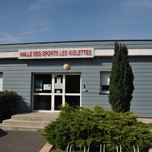 halle sports